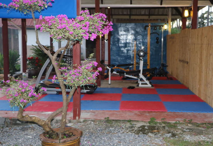 Blue Midnight Hostel 3