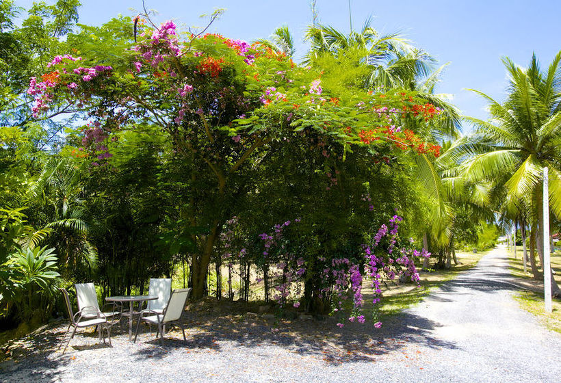 Villa Avalon Surat Thani