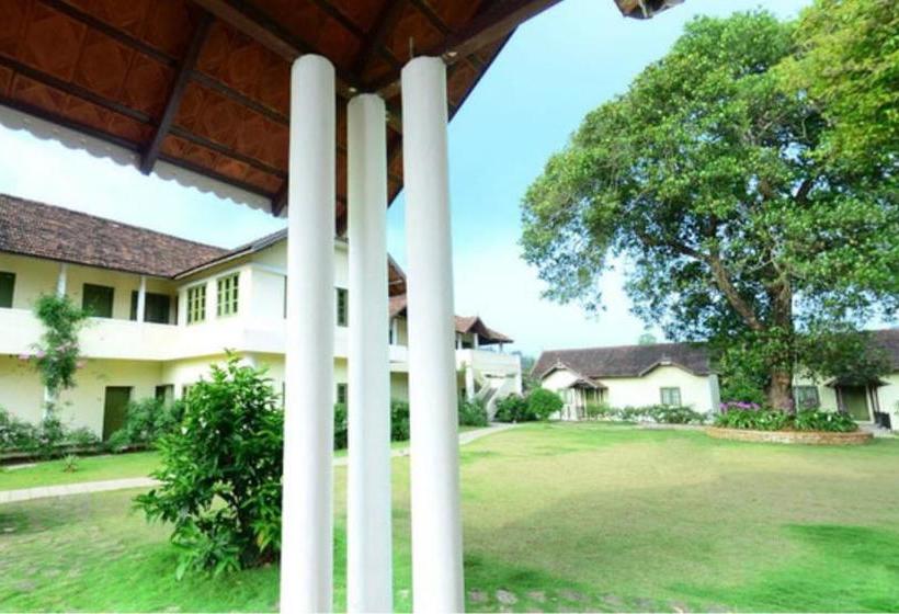 Hotel Springdale Heritage 17