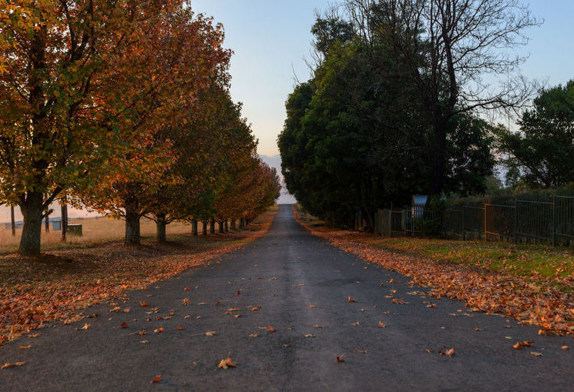 Hotel Cayley Guest Lodge 11