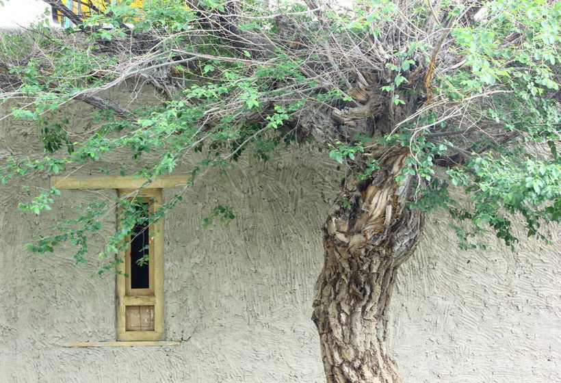 Hotel Lchangnang Retreat