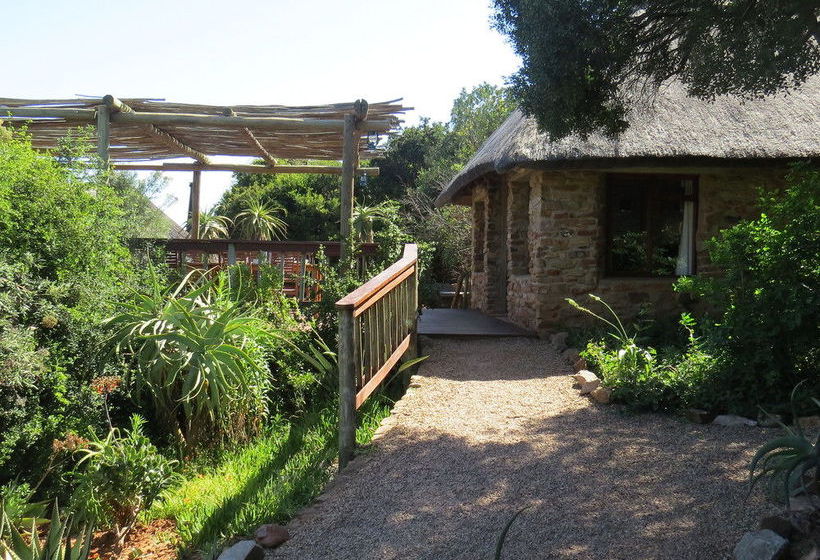 Hotel Amakhala Game Reserve - Woodbury Lodge