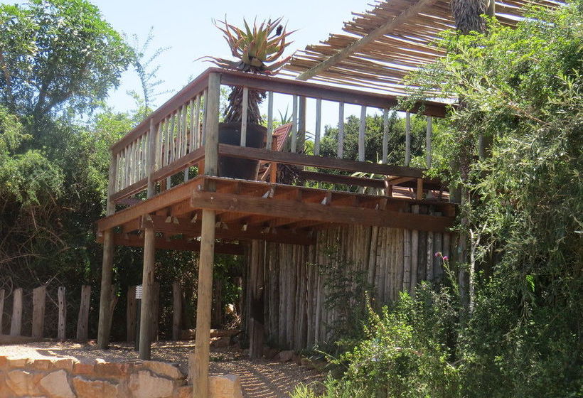 Hotel Amakhala Game Reserve - Woodbury Lodge 11