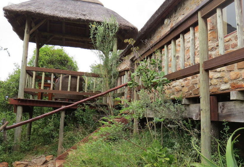 Hotel Amakhala Game Reserve - Woodbury Lodge 12