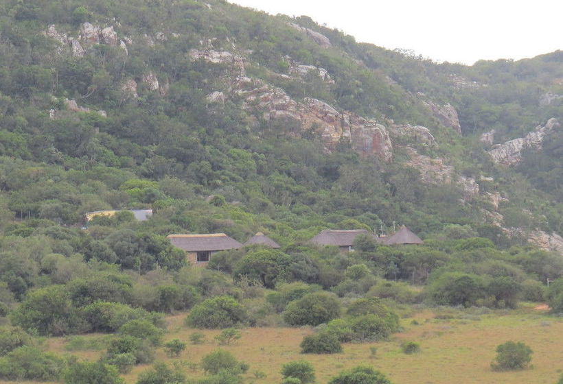 Hotel Amakhala Game Reserve - Woodbury Lodge 7
