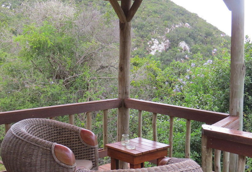 Hotel Amakhala Game Reserve - Woodbury Lodge 8