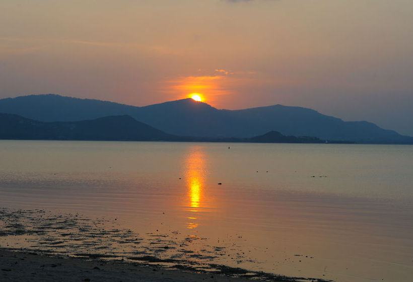 All Inclusive 4 Bedroom Beach Front 9