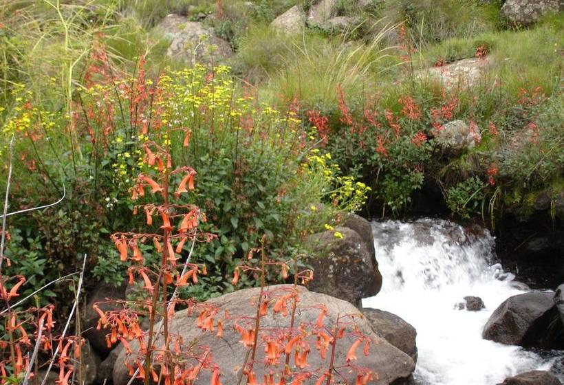 Tenahead Mountain Lodge 11