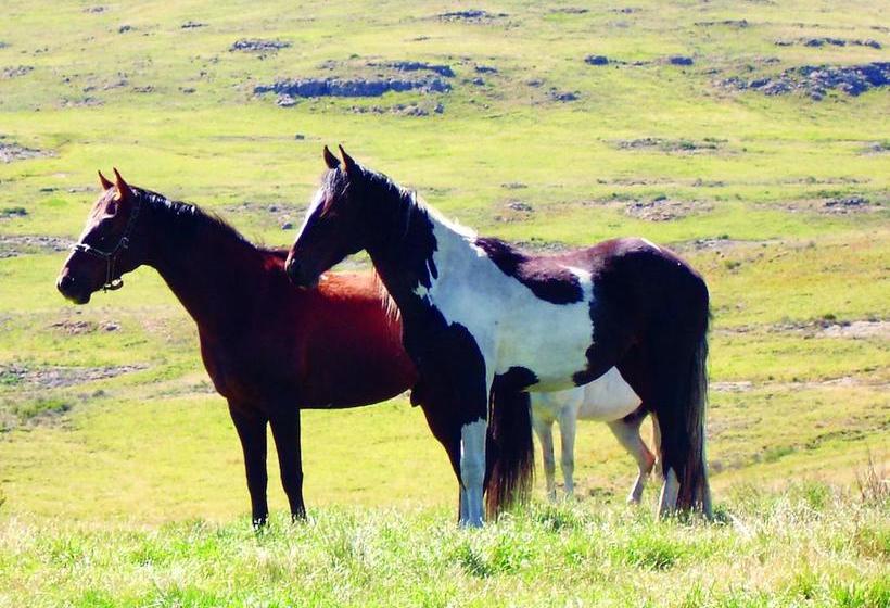 Tenahead Mountain Lodge 14