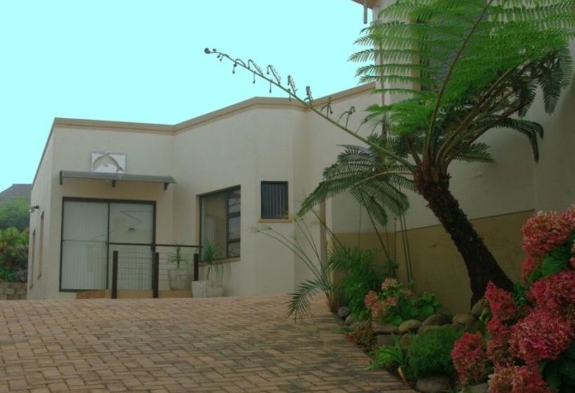 The Third Dolphin Western Cape