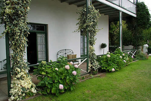 Pension The Willow Historical Guest House 7