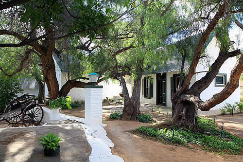 Pension The Willow Historical Guest House 8