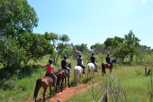 Hotel The Ostrich Manor 13