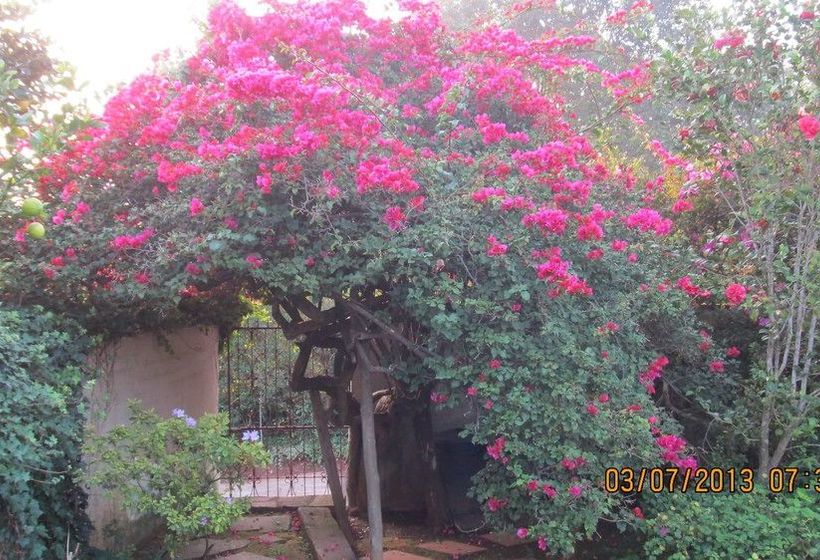 Pension The Jays Guest House 7