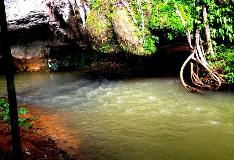 Hotel Khao Sok Silver Cliff Resort 10