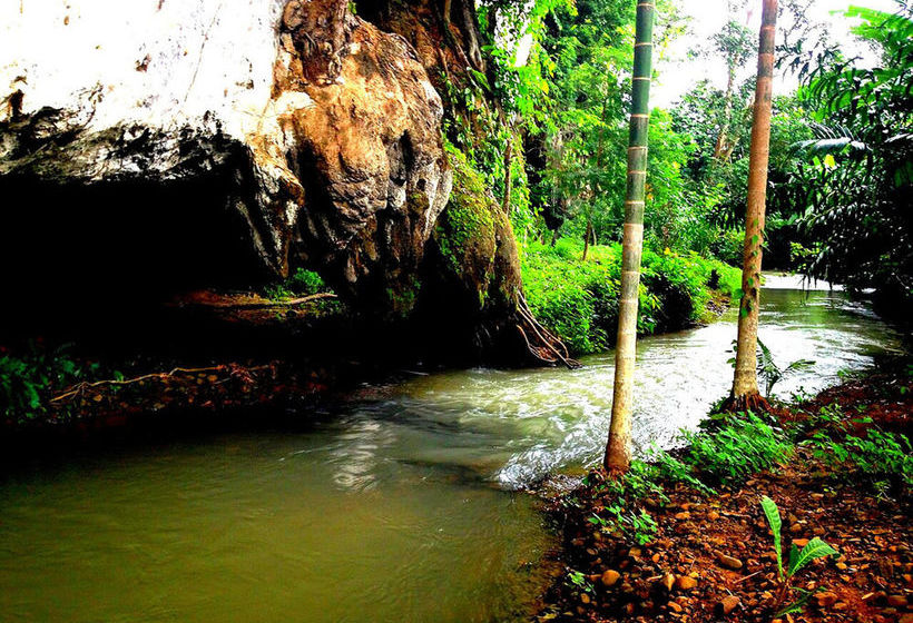 Hotel Khao Sok Silver Cliff Resort 11