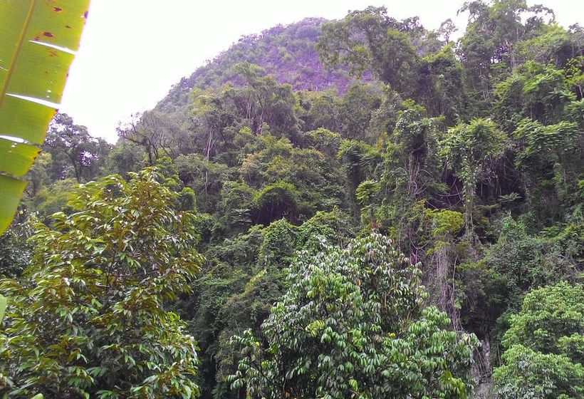 Hotel Khao Sok Silver Cliff Resort 16