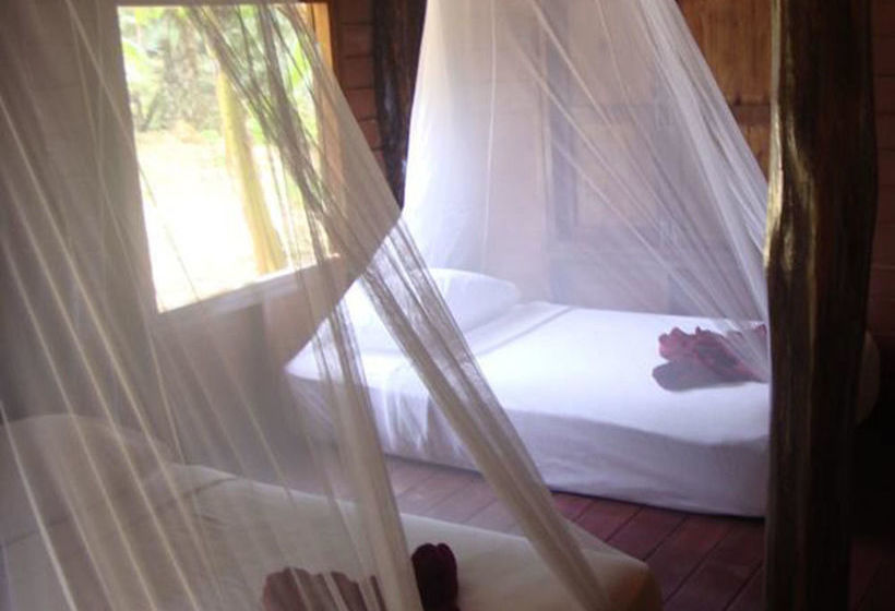 Hotel Khao Sok Silver Cliff Resort 5