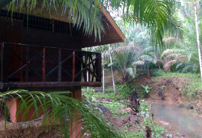 Hotel Khao Sok Silver Cliff Resort 6