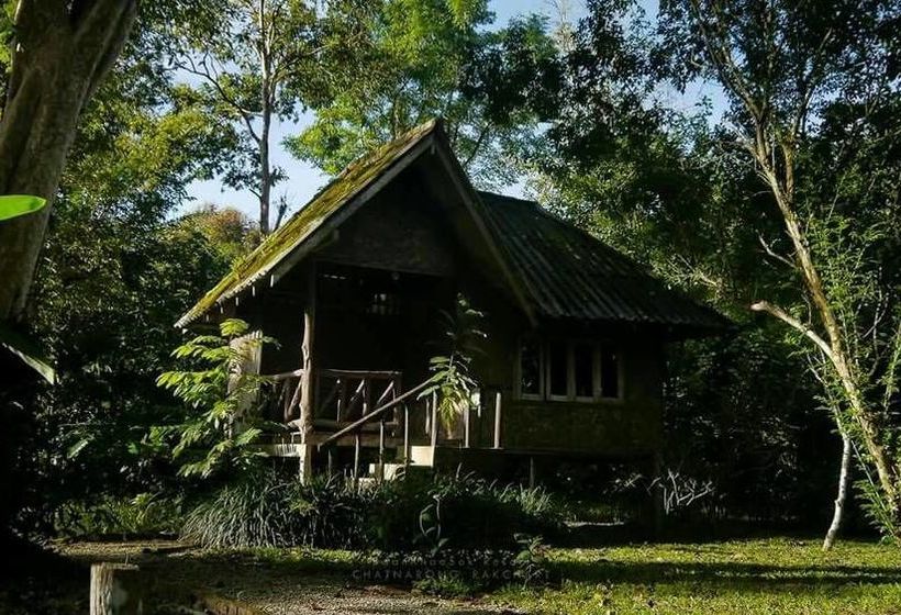 Hotel Baan Khao Sok Resort 12