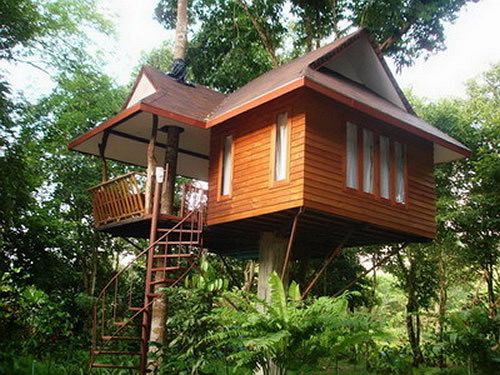 Hotel Baan Khao Sok Resort 3