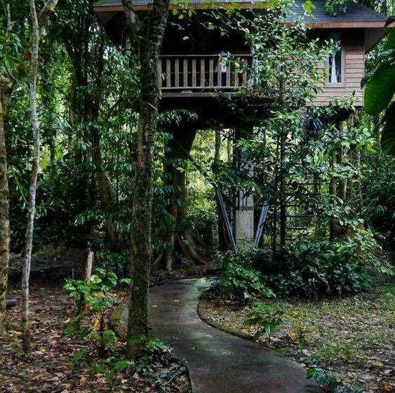 Hotel Baan Khao Sok Resort 8