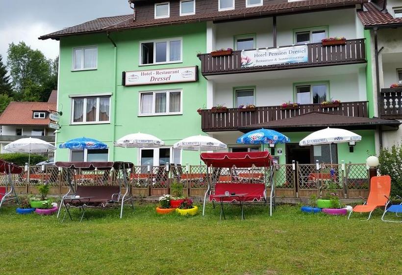 Hotel Pension Dressel 18