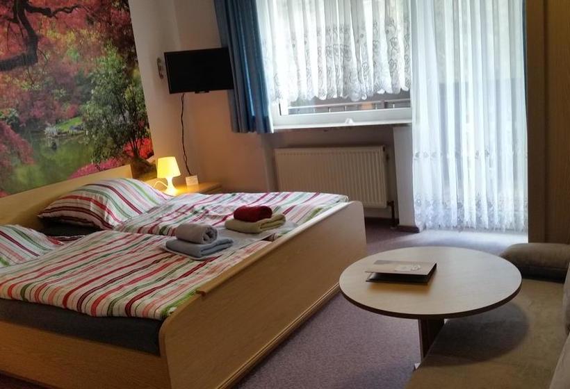 Hotel Pension Dressel 7