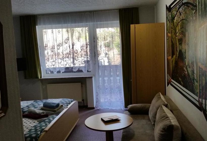 Hotel Pension Dressel 9