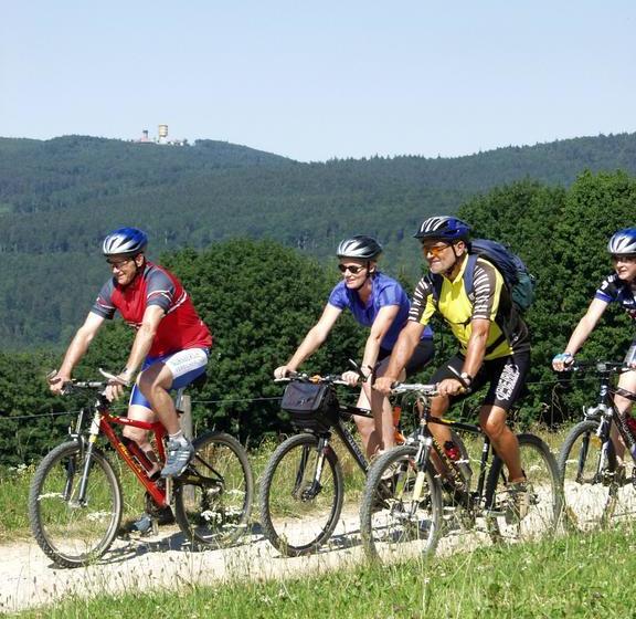 Hotel Wellnesshaus Waldmuenchen Daschner 11