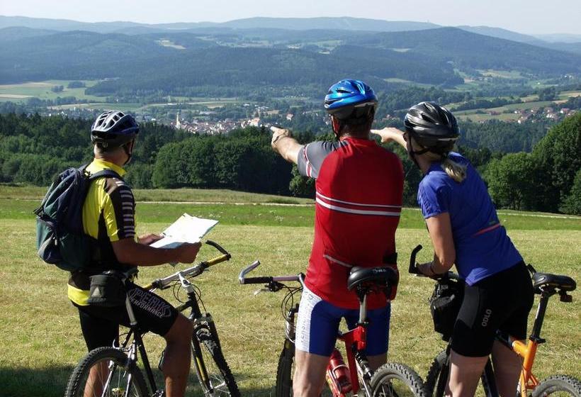 Hotel Wellnesshaus Waldmuenchen Daschner 13