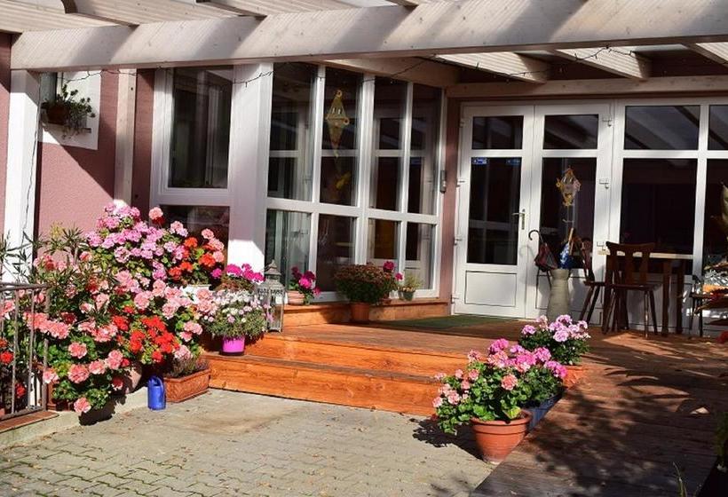 Hotel Wellnesshaus Waldmuenchen Daschner 16