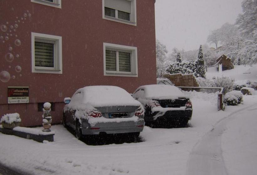 Hotel Wellnesshaus Waldmuenchen Daschner 4