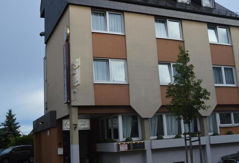 Hotel Zum Brunnen 16