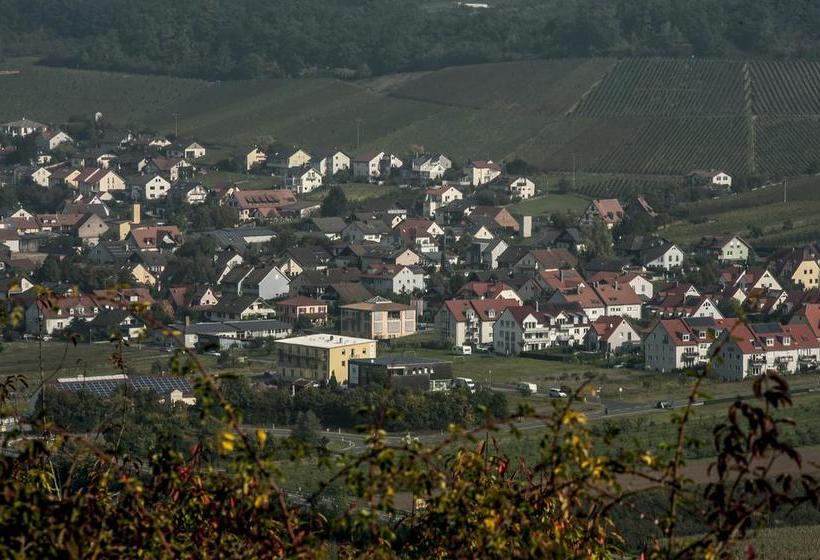 Hotel Sonnengarten 1