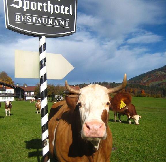 Hotel Stoll's Sport 18