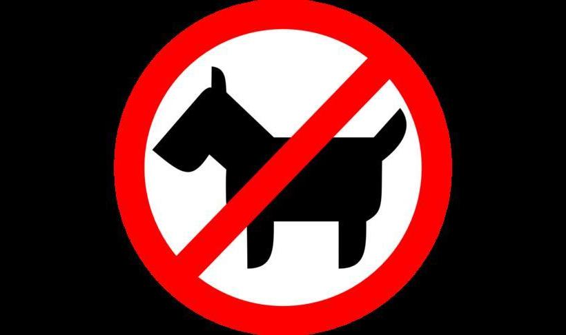 Hotel Am Großen Waisenhaus 4