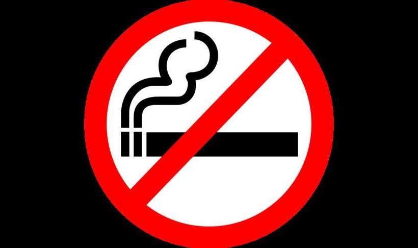 Hotel Am Großen Waisenhaus 5