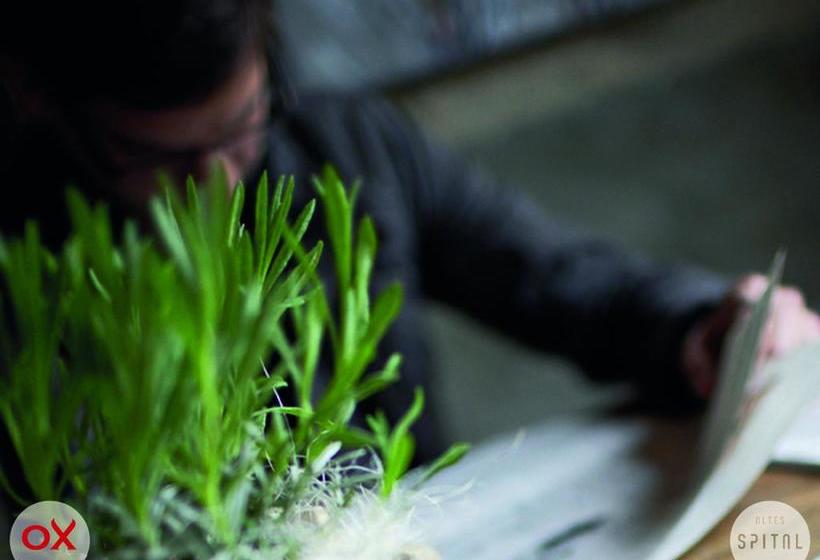 Ox Hotel Altes Spital 4