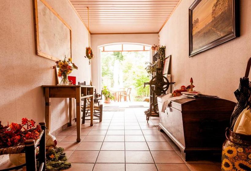 Hotel Meyers Hofcafé & Pension 6