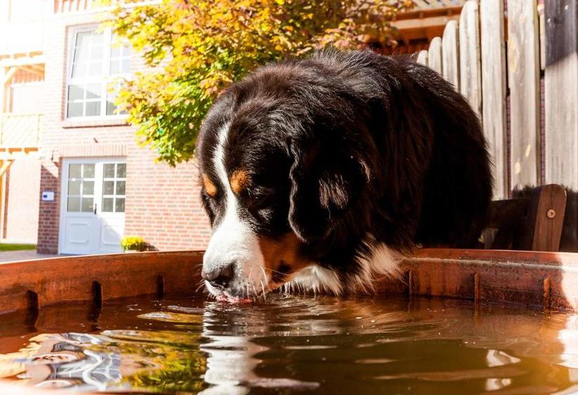 Hotel Meyers Hofcafé & Pension 9