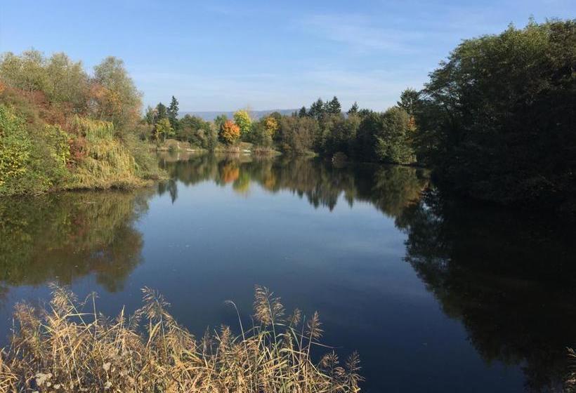 Hotel Guesthouse Lichtenau 15