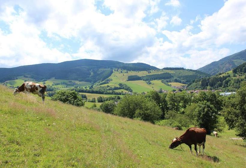 Hotel Landgasthof Zum Schützen 20