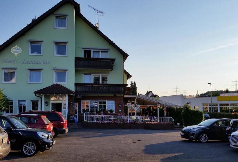 Hotel Restaurant Anna 11