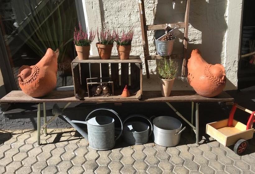 Hotel Brasserie Typisch 8