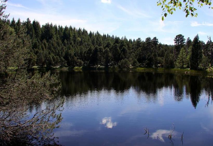 Hôtel Landgasthof Schweizerhaus 8