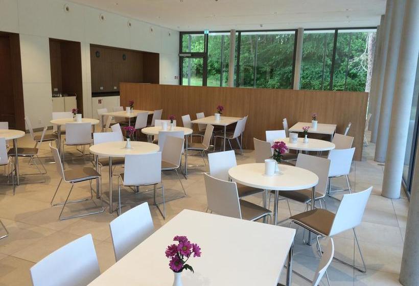 Hotel Hofgeismar Evangelische Tagungsstätte 6