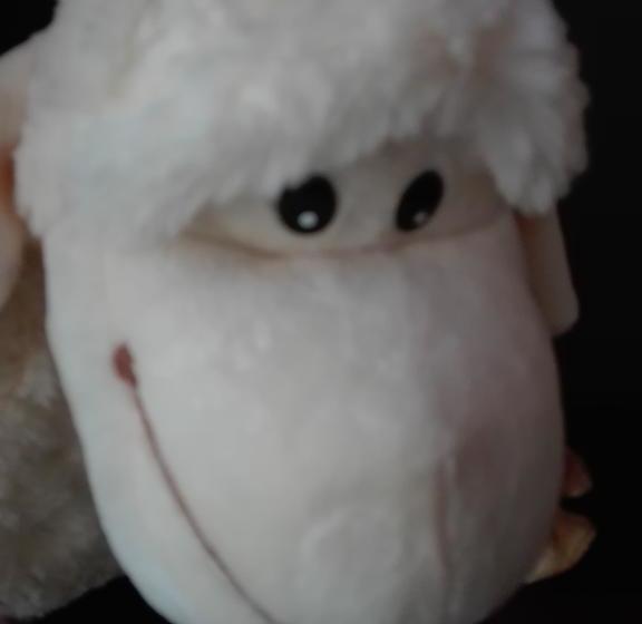 Hôtel Gasthaus-pension Bierhaus 17