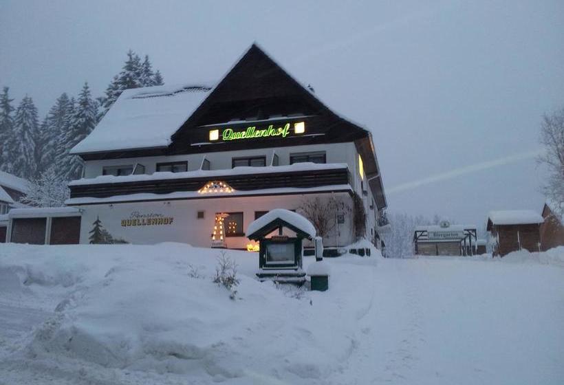 Hotel Quellenhof Altenau 10