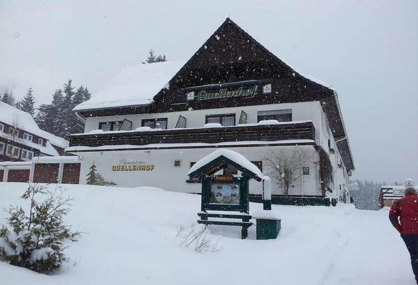 Hotel Quellenhof Altenau 9